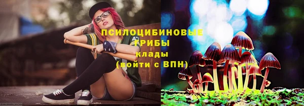 молекула духа Беломорск