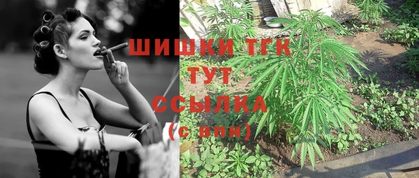 ПСИЛОЦИБИНОВЫЕ ГРИБЫ Белокуриха