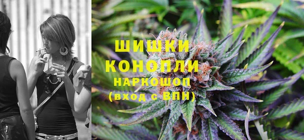 ПСИЛОЦИБИНОВЫЕ ГРИБЫ Белокуриха