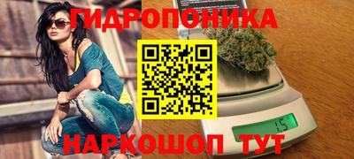 кокс Тула