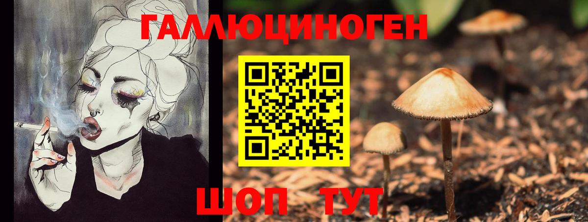 Псилоцибиновые грибы Psilocybe  Вход с VPN  Саяногорск 